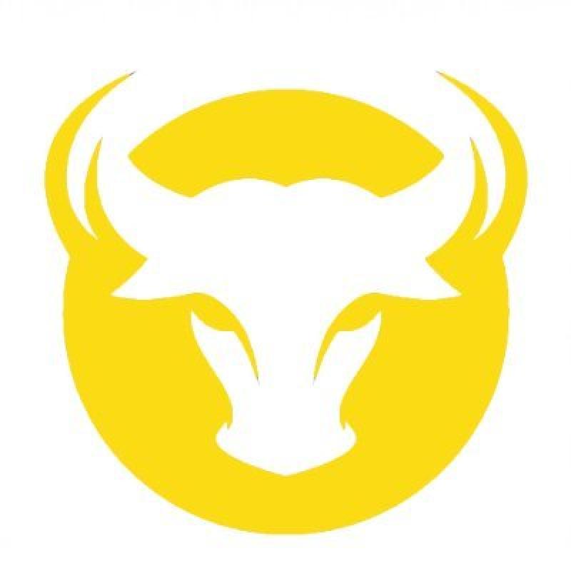 GoldenBull Finance