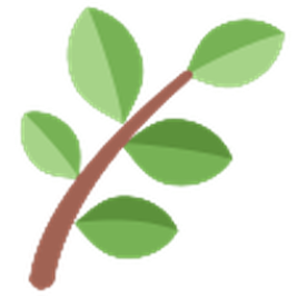 Trie Bonsai